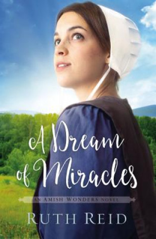 Kniha A Dream of Miracles Ruth Reid