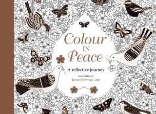 Książka Colour in Peace Postcards: A Reflective Journey James Newman Gray