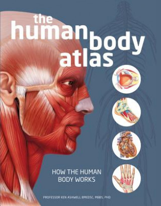 Book The Human Body Atlas: How the Human Body Works Global Book Publishing