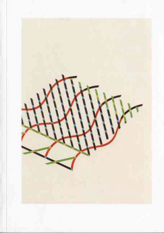 Kniha Tomma Abts: Mainly Drawings Bob Nickas