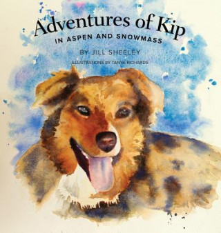 Buch ADV OF KIP Jill Sheeley