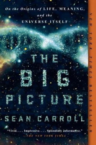 Book Big Picture Sean Carroll