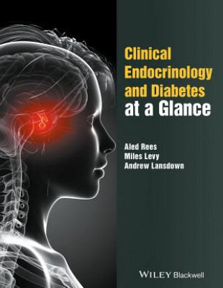 Kniha Clinical Endocrinology and Diabetes at a Glance Dafydd A. Rees