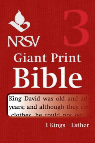 Kniha NRSV Giant Print Bible: Volume 3, 1 Kings - Esther Bible