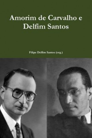 Kniha Amorim De Carvalho e Delfim Santos Filipe Delfim Santos