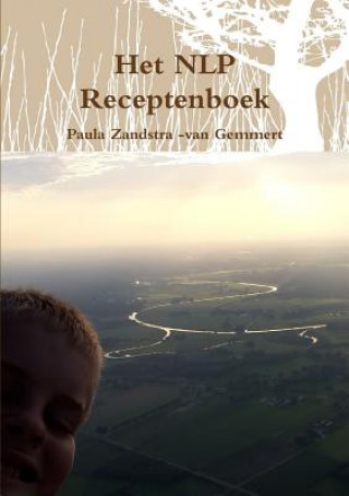 Kniha Het NLP Receptenboek P.F. Zandstra -van Gemmert