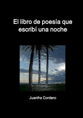 Kniha Libro De Poesia Que Escribi UNA Noche Juanfra Cordero