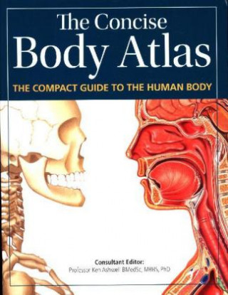 Kniha Concise Body Atlas Ken Ashwell
