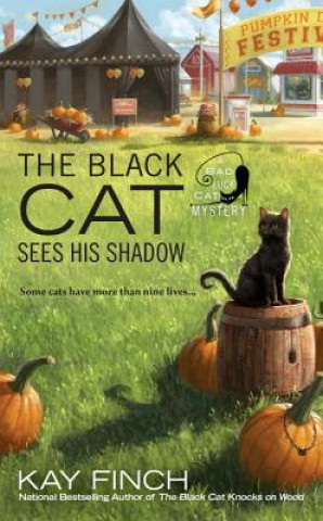 Книга Black Cat Sees His Shadow Kay Finch