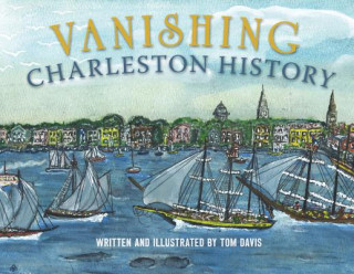 Kniha Vanishing Charleston History Tom Davis