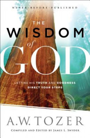 Book Wisdom of God A.W. Tozer