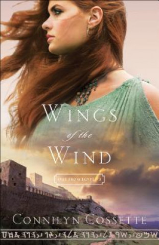 Könyv Wings of the Wind Connilyn Cossette