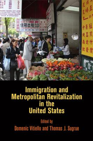 Könyv Immigration and Metropolitan Revitalization in the United States Dominic Vitiello