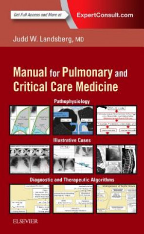 Knjiga Clinical Practice Manual for Pulmonary and Critical Care Medicine Judd Landsberg