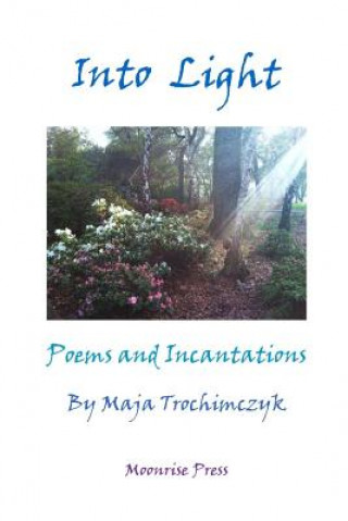 Libro Into Light Maja Trochimczyk