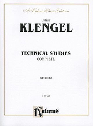 Kniha TECHNICAL STUDIES Julius Klengel