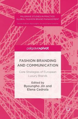 Kniha Fashion Branding and Communication Byoungho Jin