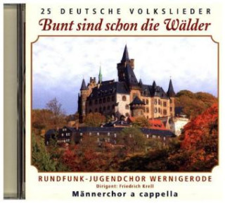 Аудио Bunt sind schon die Wälder, 1 Audio-CD Rundfunk-Jugendchor Wernigerode