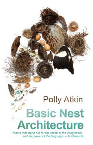 Książka Basic Nest Architecture Polly Atkin