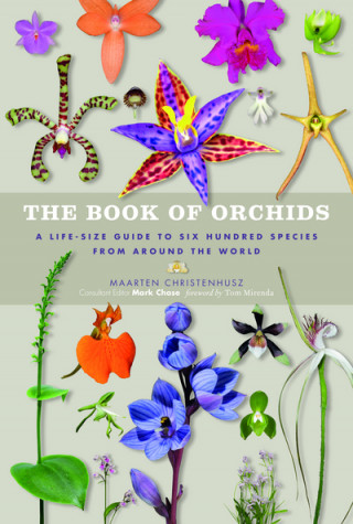 Kniha Book of Orchids Maarten Christenhusz