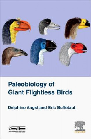 Carte Palaeobiology of Giant Flightless Birds Delphine Angst