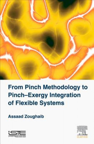 Kniha From Pinch Methodology to Pinch-Exergy Integration of Flexible Systems Assaad Zoughaib