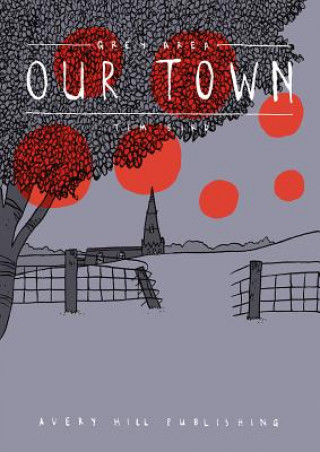 Knjiga Grey Area - Our Town Tim Bird