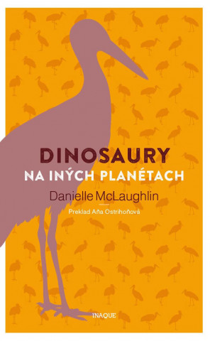 Könyv Dinosaury na iných planétach Danielle McLaughlin
