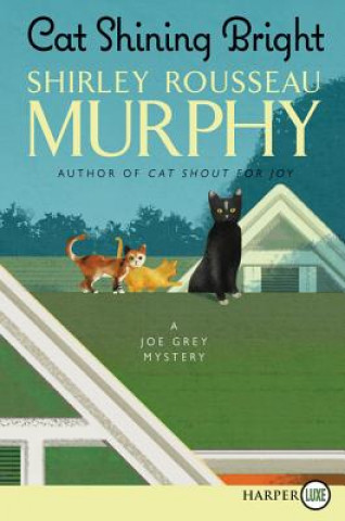 Carte Cat Shining Bright Shirley Rousseau Murphy