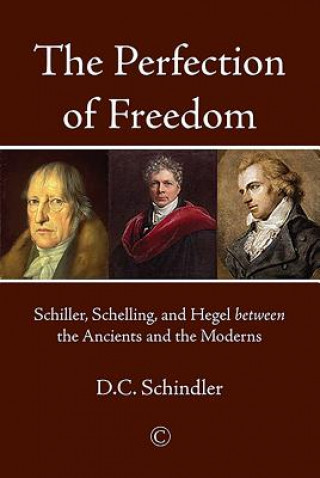 Книга Perfection of Freedom D. C. Schindler