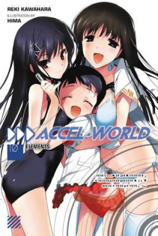 Kniha Accel World, Vol. 10 (light novel) Reki Kawahara