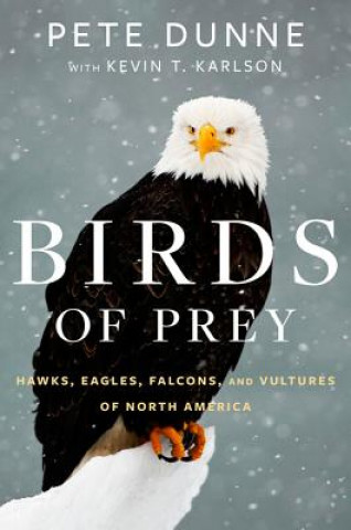 Könyv Birds of Prey: Hawks, Eagles, Falcons, and Vultures of North America Pete Dunne