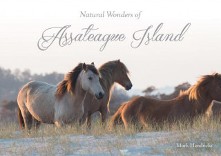 Carte Natural Wonders of Assateague Island Mark Hendricks
