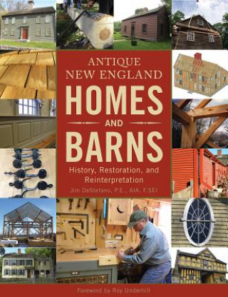 Buch Antique New England Homes and Barns: History, Restoration, and Reinterpretation Jim DeStefano