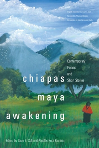 Könyv Chiapas Maya Awakening Marceal Mendez