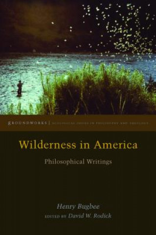 Livre Wilderness in America Henry Bugbee