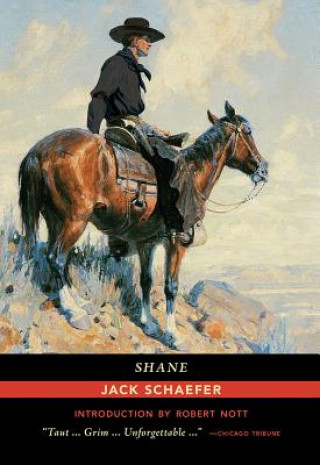 Kniha Shane Jack Schaefer