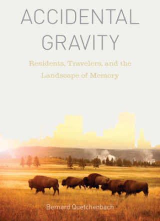Knjiga Accidental Gravity Bernard Quetchenbach