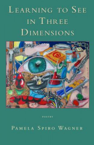 Kniha Learning to See in Three Dimensions Pamela Spiro Wagner