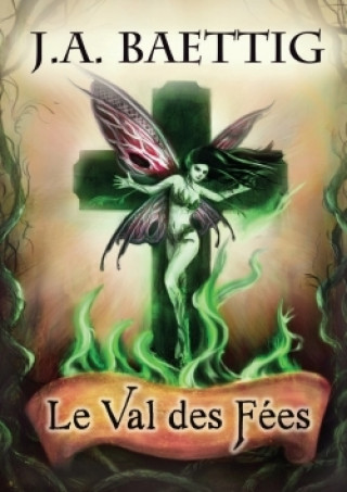 Buch Val Des Fees J. a. Baettig