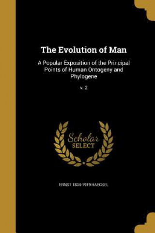 Book EVOLUTION OF MAN Ernst 1834-1919 Haeckel