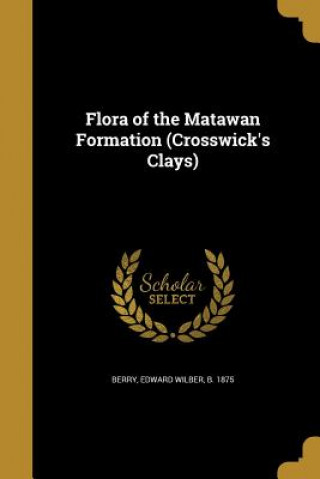 Kniha FLORA OF THE MATAWAN FORMATION Edward Wilber B. 1875 Berry