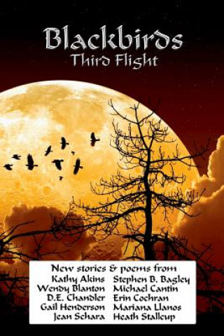 Kniha Blackbirds Third Flight Stephen B. Bagley