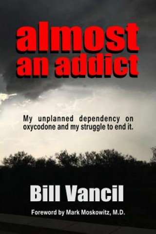 Kniha Almost an Addict Bill Vancil