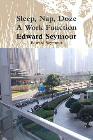 Könyv Sleep, Nap, Doze, A Work Function Edward Seymour