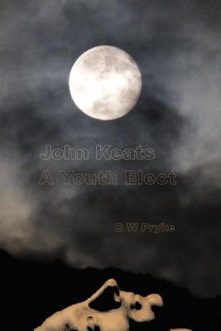 Kniha John Keats - a Youth Elect D. W. Pryke