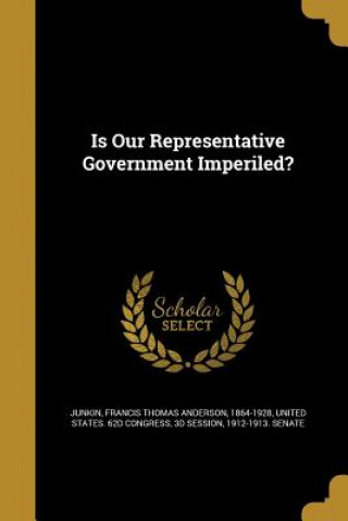 Kniha IS OUR REPRESENTATIVE GOVERNME Francis Thomas Anderson 1864-19 Junkin