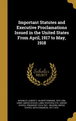 Kniha IMPORTANT STATUTES & EXECUTIVE Albert E. (Albert Edward) 187 McKinley