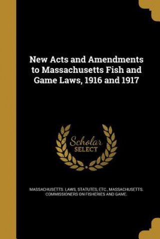 Kniha NEW ACTS & AMENDMENTS TO MASSA Statutes Etc Massachusetts Laws