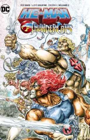 Kniha He-Man/Thundercats Dan Abnett